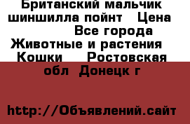 Британский мальчик шиншилла-пойнт › Цена ­ 5 000 - Все города Животные и растения » Кошки   . Ростовская обл.,Донецк г.